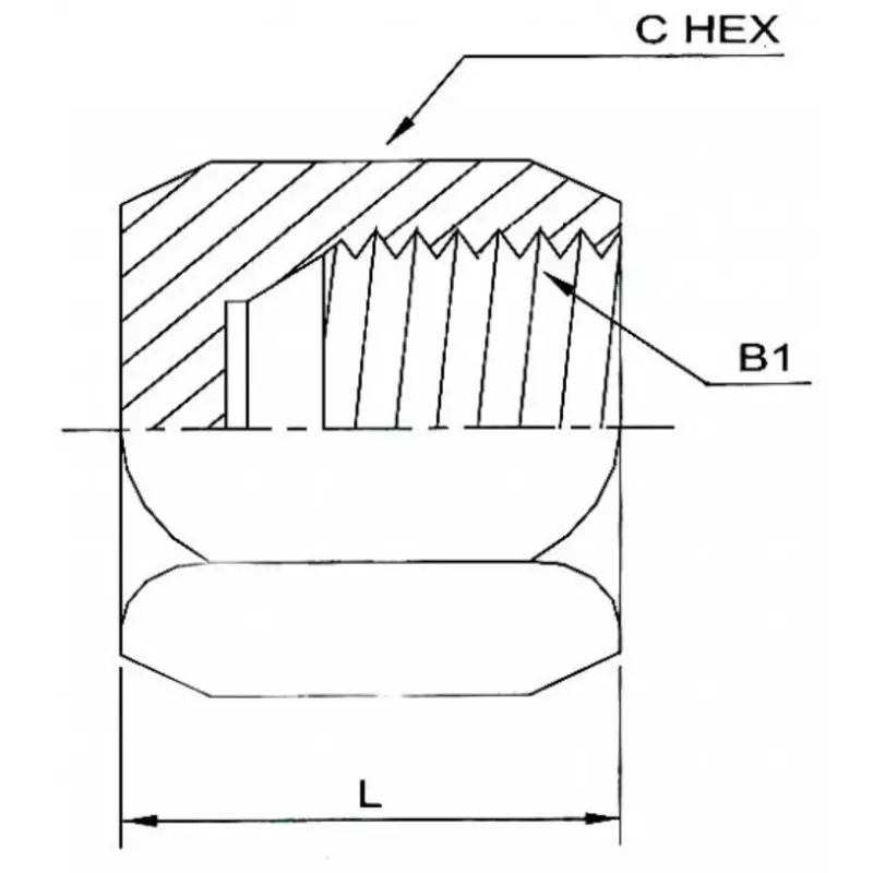0304-C-03 : Onehydraulics Steel Cap Nut, 3/8-24 (-03) Female Jic 2