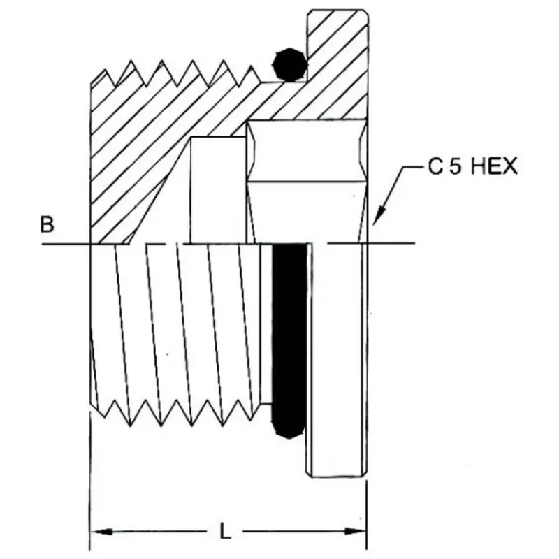6408-H06-O-Ss : Onehydraulics Hollow Hex Stainless Plug, 9/16-18 (-06) Male Sae Orb 2
