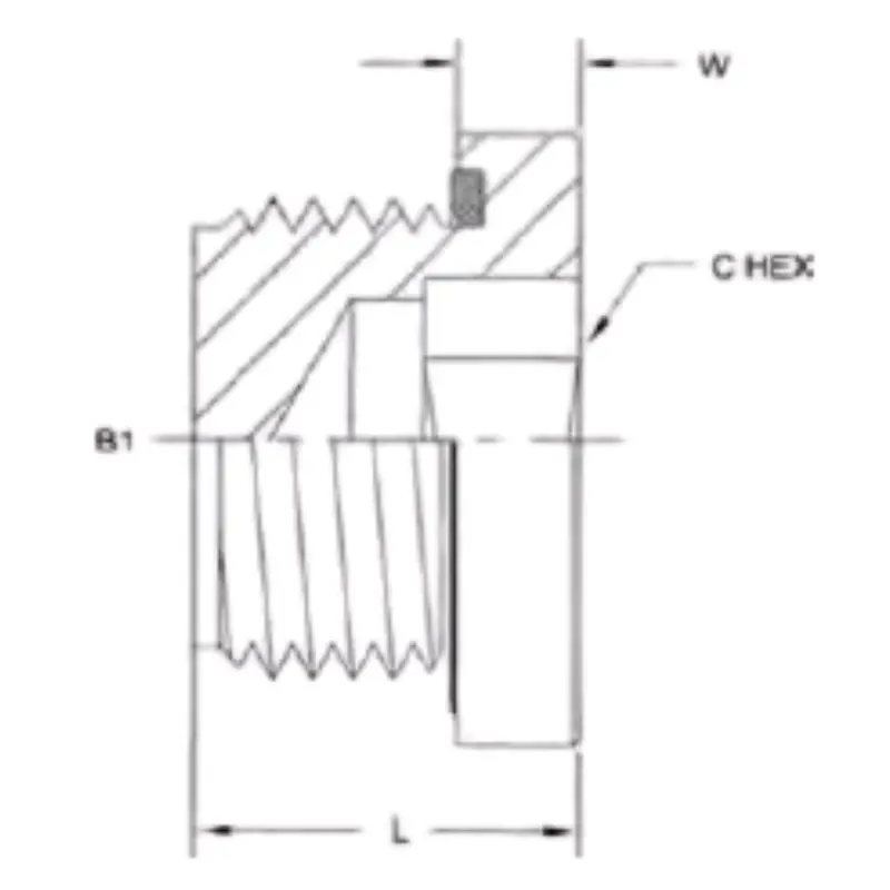 8555-H14-O : Onehydraulics Steel Hollow Hex Sealed Plug, M14 X 1.5 (14Mm) Male Metric 2
