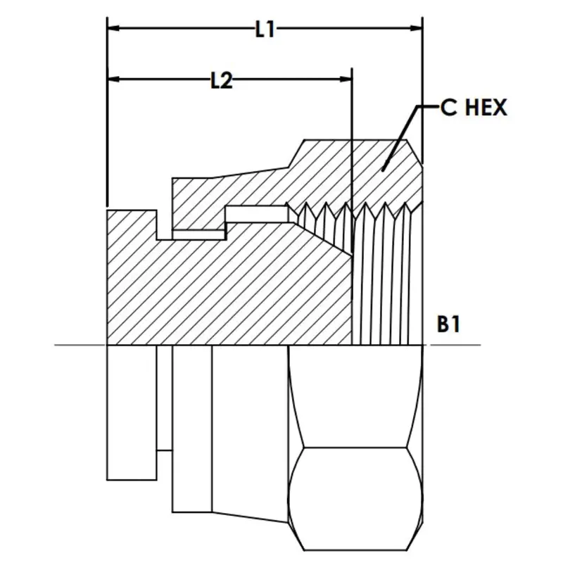 9644-C-12 : Onehydraulics Steel Cap, 3/4-14 (-12) Female Bspp 2