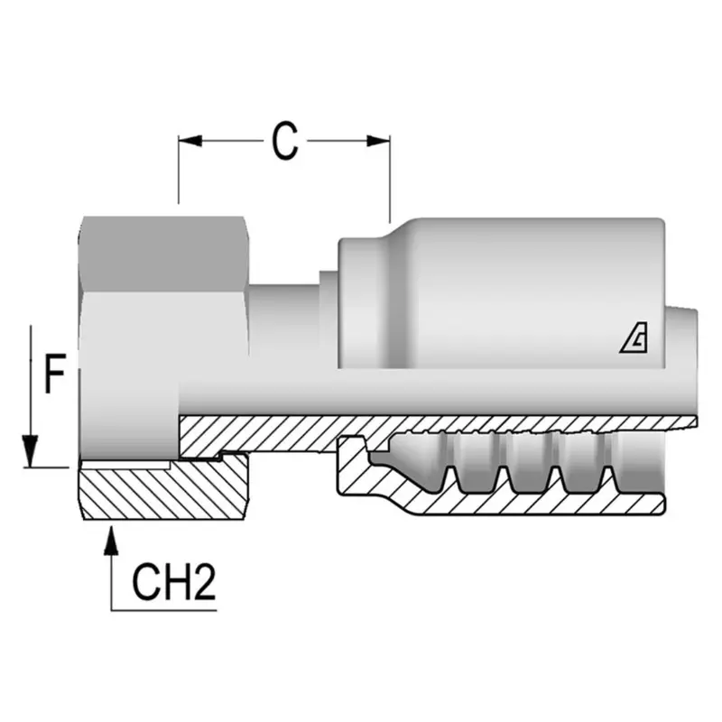 B-1212-Fbfs : Alfagomma Straight Steel Fitting, 3/4 (-12) Hose X 3/4-14 (-12) Female Bspp Flat Seat 1