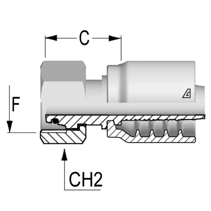 B-1636-Fmol : Alfagomma Straight Steel Fitting, 1 (-16) Hose X M36x2.0 (-L28) Female Light Duty Din Tube With O-Ring 1