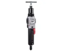 B82g-3At-Ad3-Rsn : Norgren B82g Excelon Plus Combination Filter Regulator, 3/8" Npt, 40-Micron, 10 To 247 Psi, Metal With Liquid Indicator Bowl, Auto Drain, Relieving 1