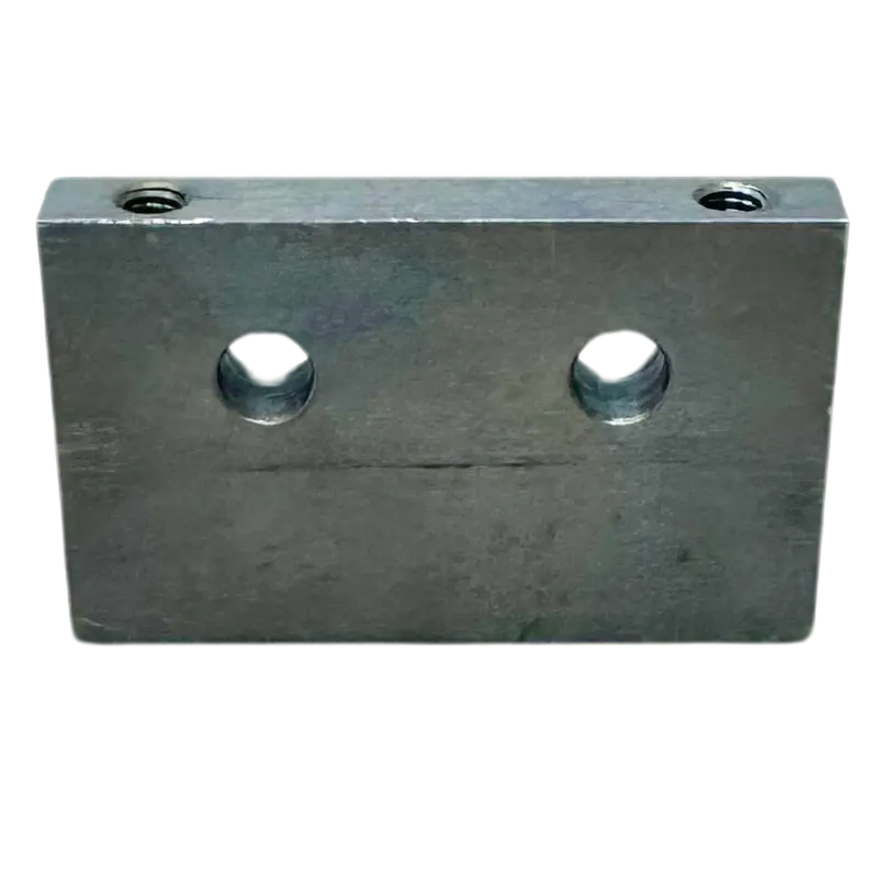 Cws 2-1 : Hawe Blank End Plate For Cws 1