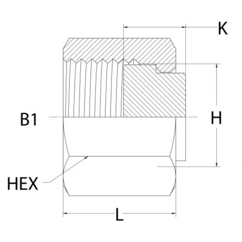 Fs0304-C-16 : Onehydraulics Steel Cap Assembly Insert, 1" (-16) Tube Od 2