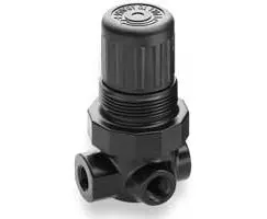 R91w-2Ak-Nen : Norgren R91 Water Regulator, 1/4 Npt, 5 To 50Psi Outlet Pressure Range, Knob Adjustable 1